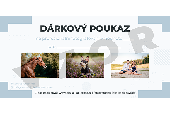 Dárkový poukaz